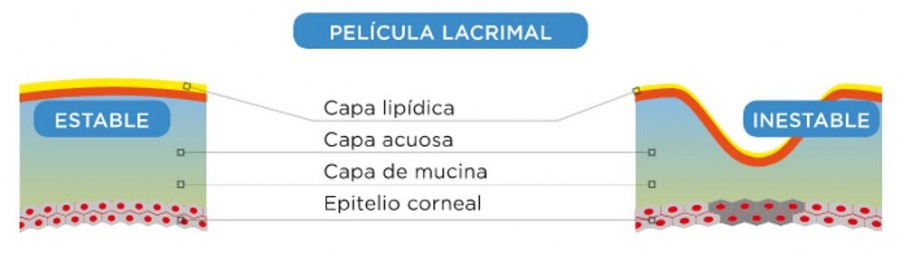 composicion de la pelicula lagrimal